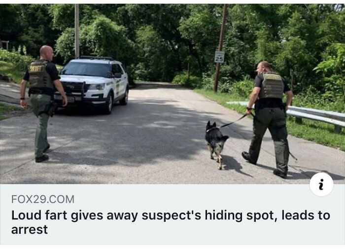 Police and K9 on a rural road after a suspect was found due to a loud fart in a weird internet moment screenshot.