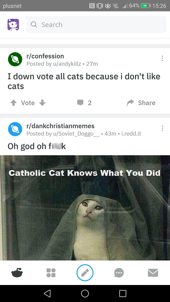 Reddit screenshot showing weird internet posts including a cat meme titled Catholic Cat knows what you did.