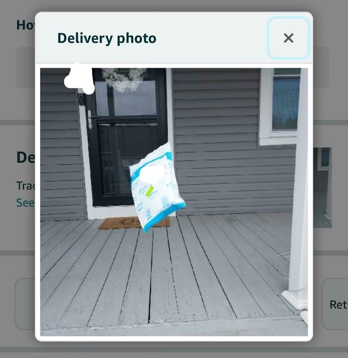 Package delivery photo showing a white and blue package falling onto a gray wooden porch outside a house.