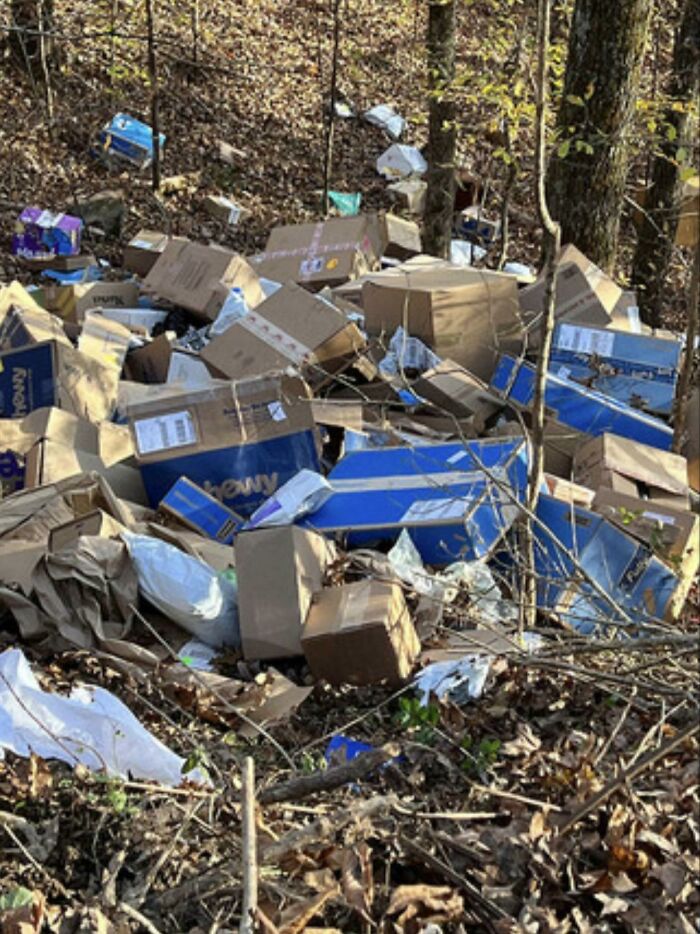 Pile of damaged and scattered delivery packages discarded in a wooded area showing unfortunate package delivery mishaps.