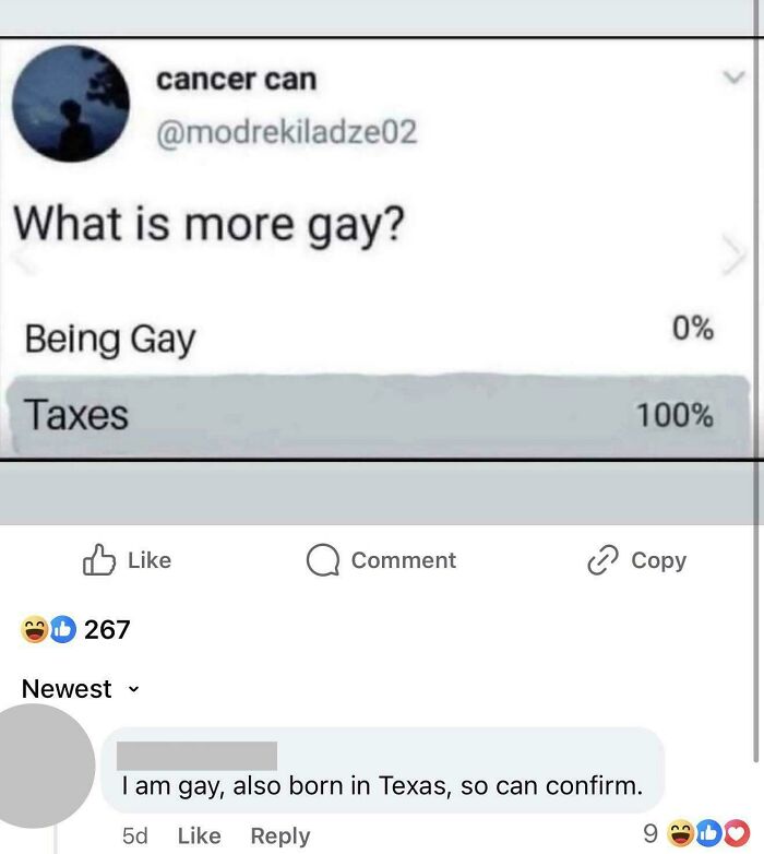 Screenshot of a social media poll asking what is more gay, with internet weirdness highlighted in comments.