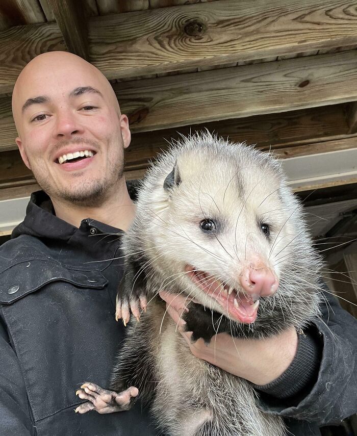 Man smiling and holding a large opossum, showcasing animals being their hilarious selves in a cheerful moment.