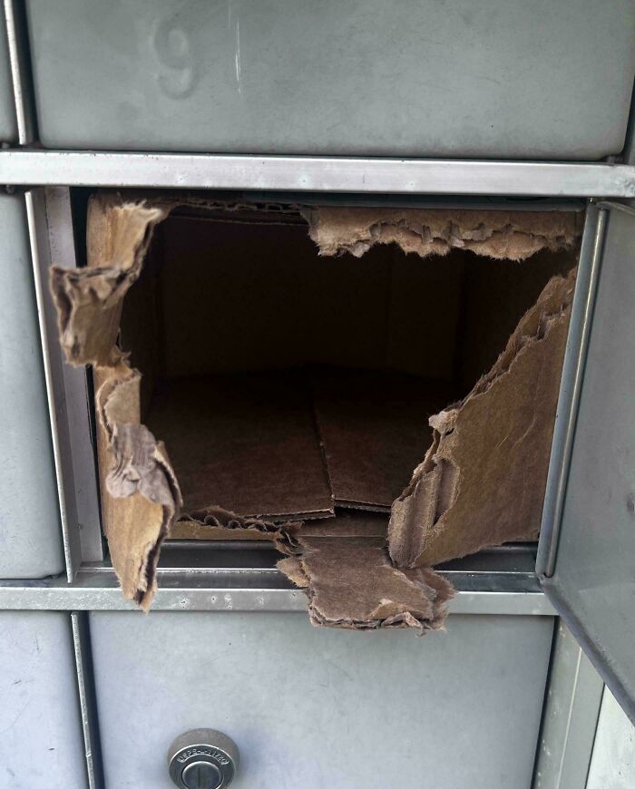 Damaged parcel locker with torn cardboard package inside, highlighting delivery issues and package fell into ocean mishaps.