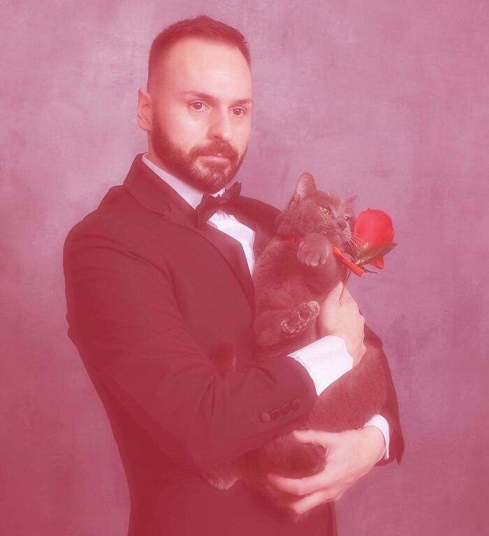Man in tuxedo holding a gray cat with a red rose, capturing a funny moment cats made their owners laugh online.