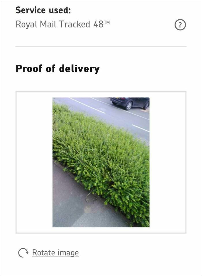 Proof of delivery showing a green bush instead of the package, illustrating deliveries gone totally off track.