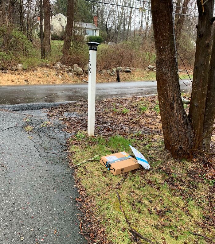 Package left off track on roadside near grass and trees, illustrating delivery mishaps and package fell into ocean incidents.