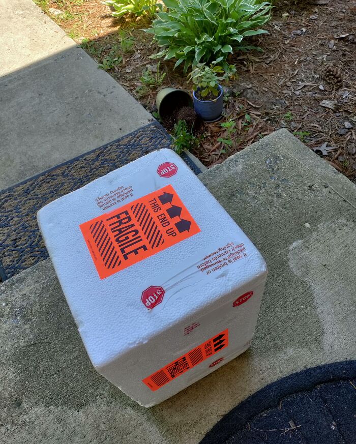 White fragile delivery package on doorstep near knocked-over plant, illustrating package fell into ocean delivery mishap concept.