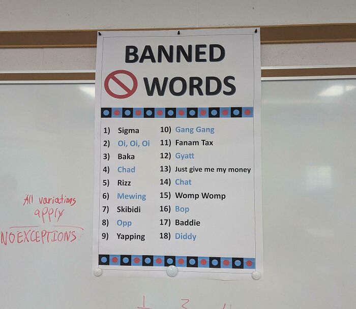 Poster in a school listing banned words like Sigma and Chat, highlighting how not all schools are equal or great.