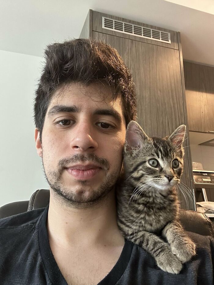 Young man with a tabby kitten on his shoulder, showcasing the joy of adopted pets and second chances.