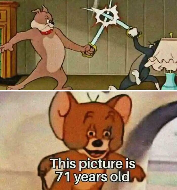 Tom and Jerry cartoon sword fight meme with text highlighting the picture's 71-year-old history lesson humor.