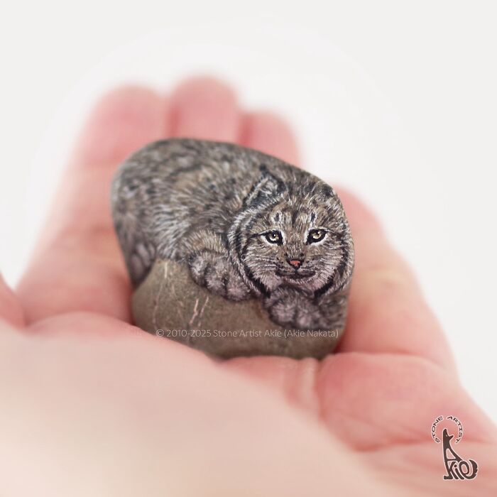 Small stone painted by Japanese artist to look like an adorable curled-up wildcat resting on a hand.
