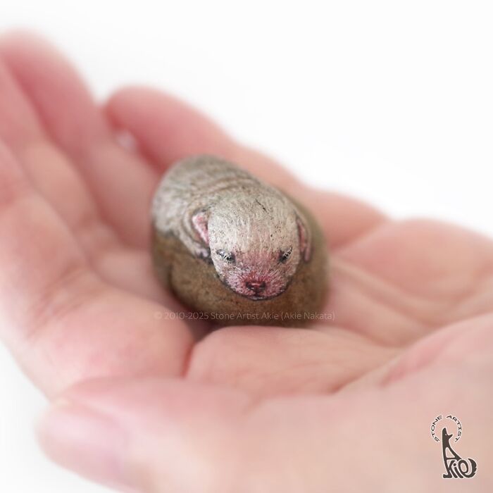 Tiny stone painted as an adorable animal held in hand, showcasing Japanese artist’s unique stone art creations.