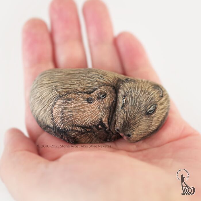Painted stones transformed by Japanese artist into adorable animals, showing detailed fur texture and lifelike expressions.