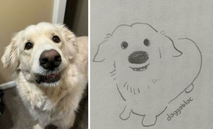 Perrete blanco con expresión tierna junto a dibujo sencillo de perrete con estilo puro y adorable.