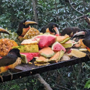 shannonpatty-stoddard avatar