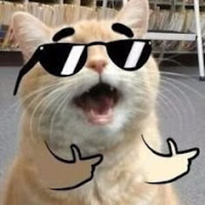 nishantupadhyay avatar