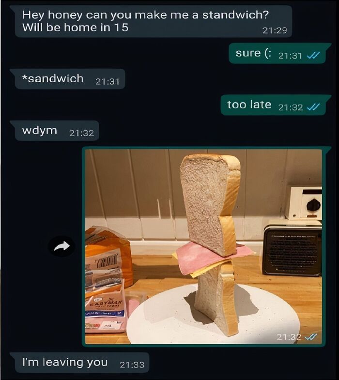 Text message exchange with a weird and unhinged humor meme showing a sandwich with floating bread and ham slices.