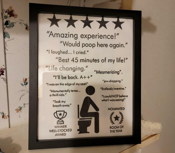 Framed humorous print with five stars and funny reviews featuring a person sitting on a toilet, highlighting hilarious dads.