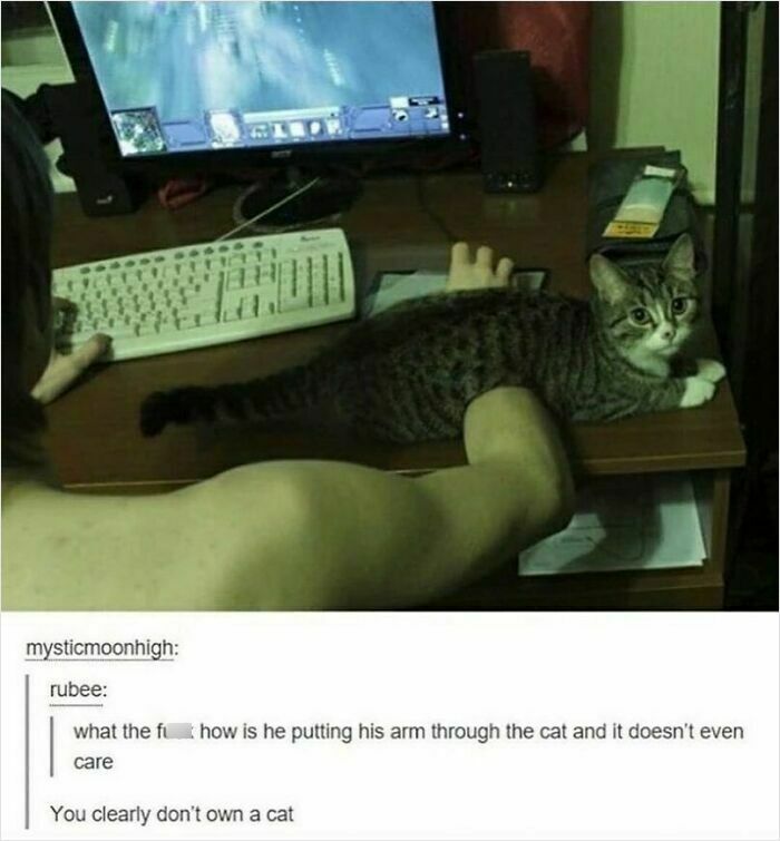 Person gaming on computer with arm seemingly through cat lying on desk, a weird and unhinged humor meme.