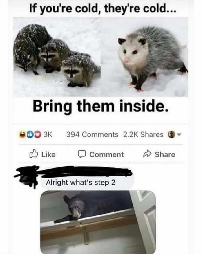 Weird and unhinged humor meme showing animals in snow with a funny comment about bringing them inside.