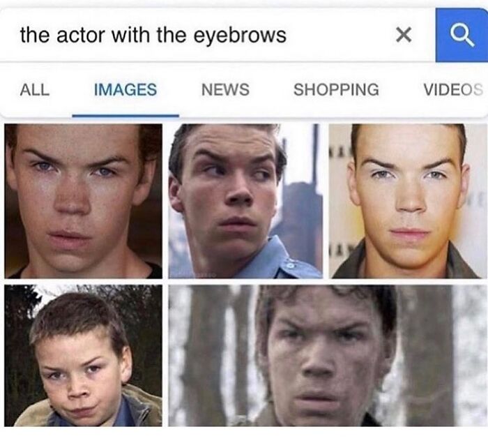 Google image search results showing close-up photos of the same actor with distinct eyebrows, weird and unhinged humor style.