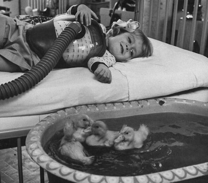 Child in hospital bed connected to medical device, lying next to a basin with ducklings, medical photos showing unusual scenes.