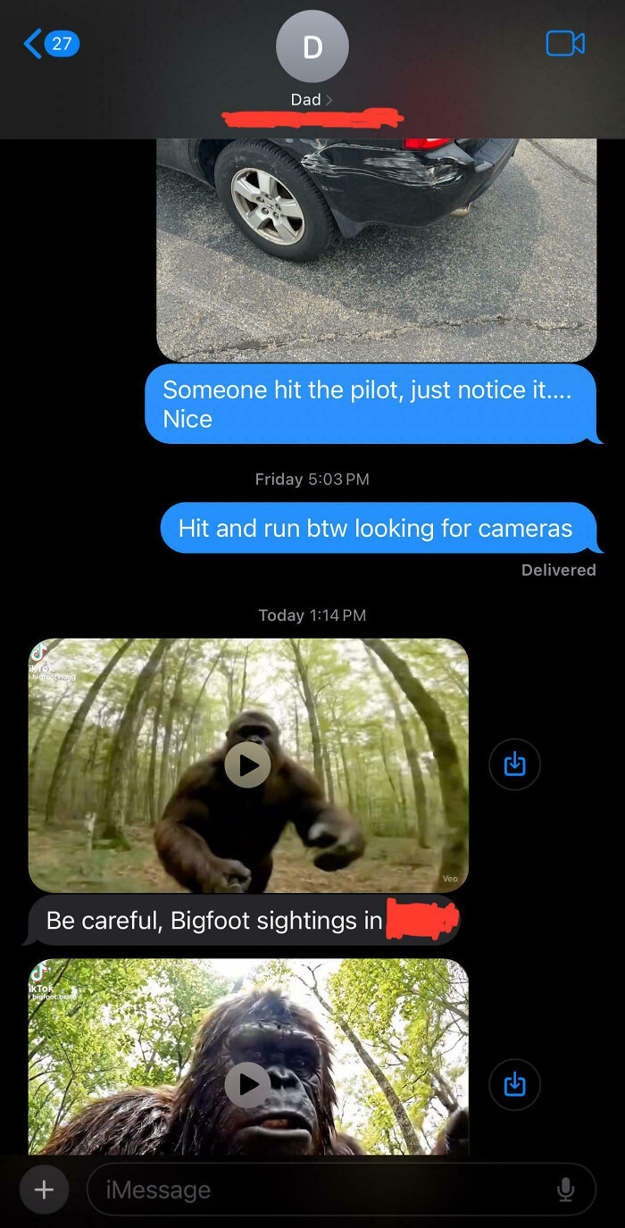 Screenshot of a text conversation showing examples of toxic dad behavior including hit and run and strange Bigfoot videos shared.
