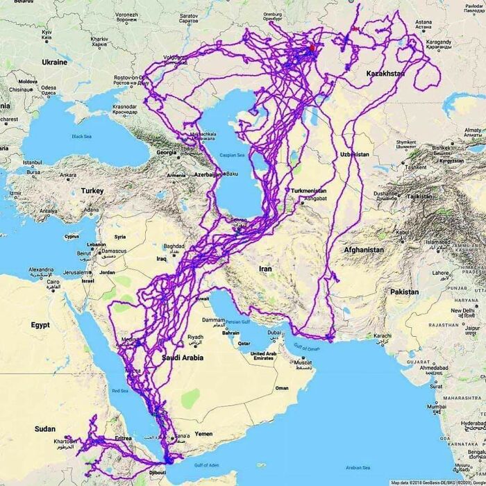 Map showing intricate travel routes across the Middle East and Central Asia, highlighting fascinating world geography patterns.