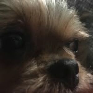 bobby_lee_miller avatar