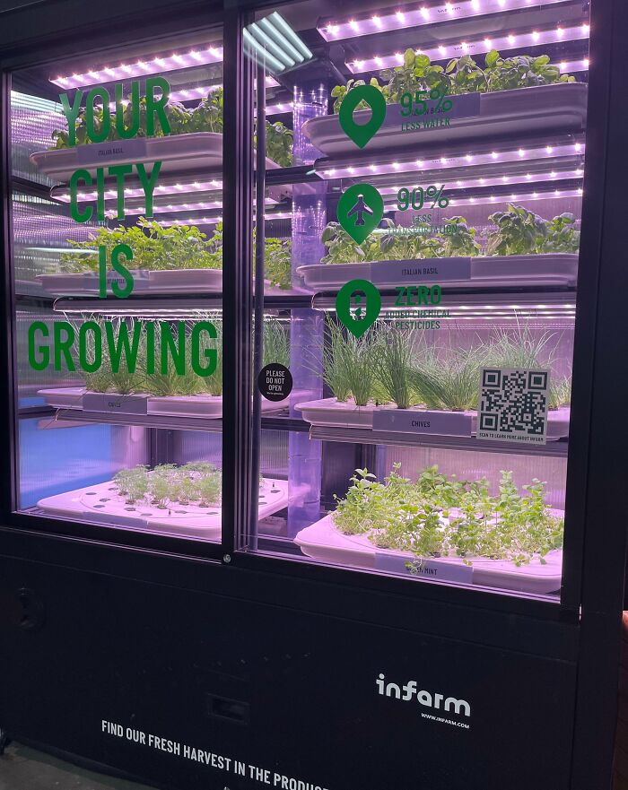 Indoor urban garden with LED lights growing fresh herbs, a genius solution for overlooked city farming problems