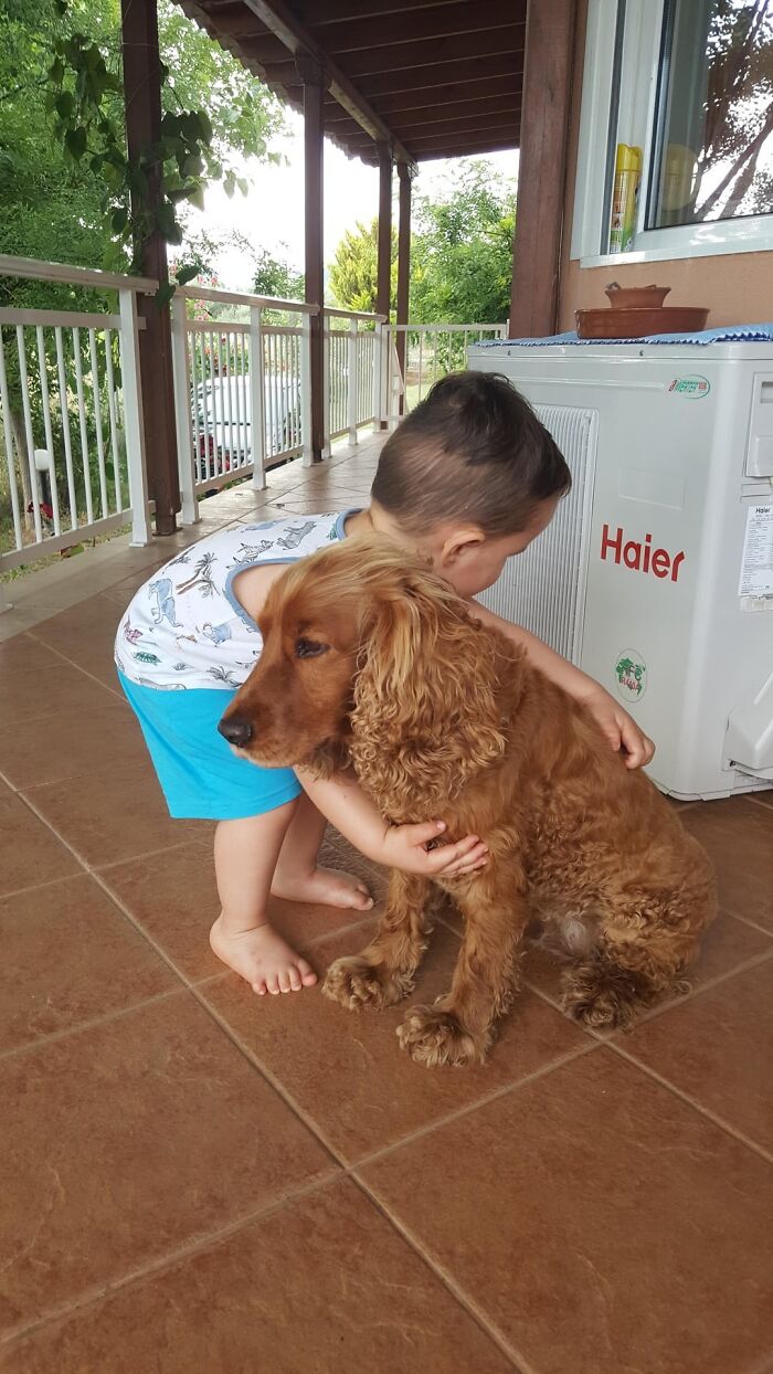 Young child hugging a brown dog on a porch surrounded by green trees, capturing the beauty of planet Earth.