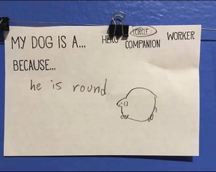Handwritten note describing a dog as a circle companion because he is round, highlighting the beauty of planet Earth humor.