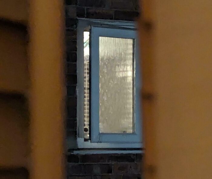 View through narrow gap showing a frosted window on a dark brick wall, evoking neighbor tales in a wooded setting.