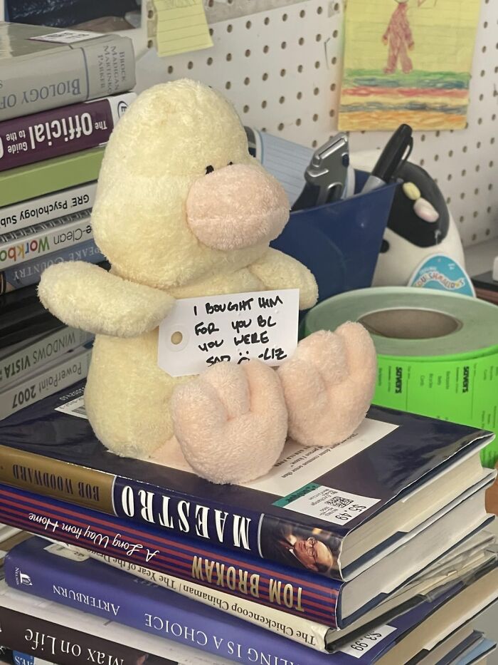 Plush duck sitting on a stack of books in an office space, showcasing the beauty of planet Earth through everyday moments.