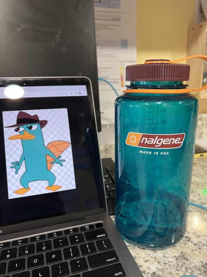 Blue Nalgene water bottle next to a laptop showing an animated platypus character, reflecting the beauty of planet Earth.