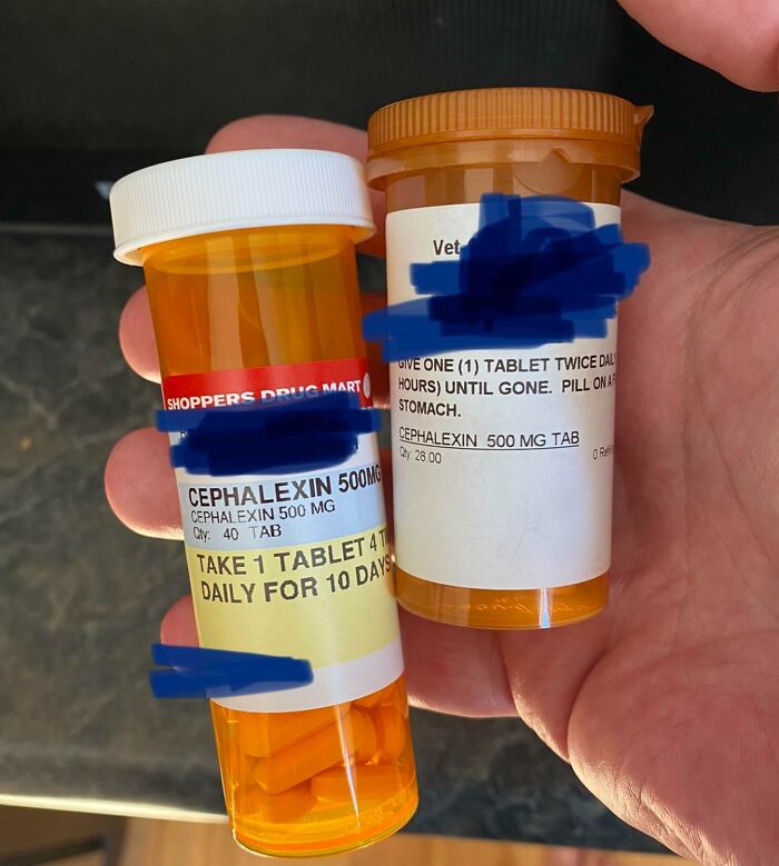 Hand holding two prescription bottles of Cephalexin 500 mg tablets, a common medical photo showing medication use.