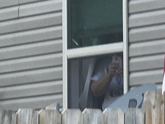 Person seen through a window behind a wooden fence, capturing neighbor tales that might inspire moving to the woods.