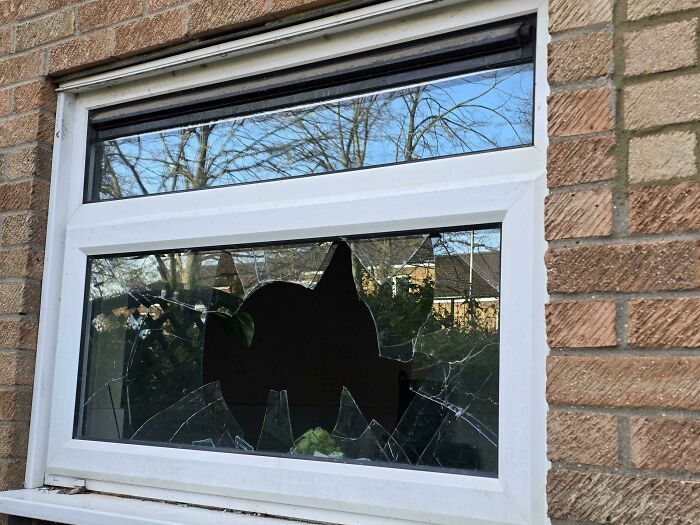 Broken window on a brick house symbolizing brutal rejections that left people baffled and confused for days.