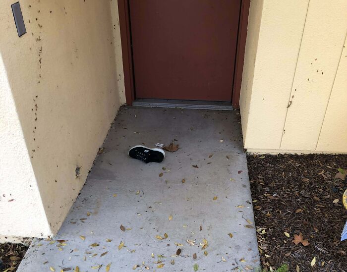Single black sneaker lying on doorstep surrounded by leaves, illustrating unusual neighbor tales in a quiet woods setting.