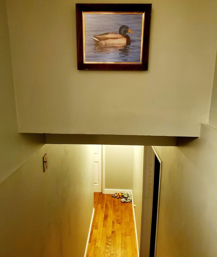 Hallway with low ceiling beam and a funny prank involving a framed duck painting at the top, showcasing hilarious dads' creativity.