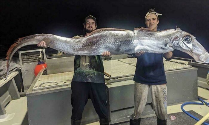 Two men holding a massive deep-sea fish at night, showcasing a terrifying example of nature stopping people in their tracks.