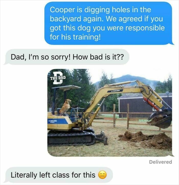 Text message exchange about a dog digging holes, with a photo of a dog operating an excavator, showcasing hilarious dads.