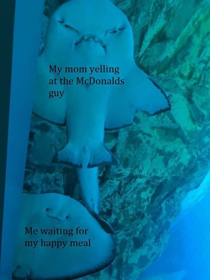 Two rays in an aquarium with captions humorously illustrating entitled parents and waiting for a Happy Meal meme.
