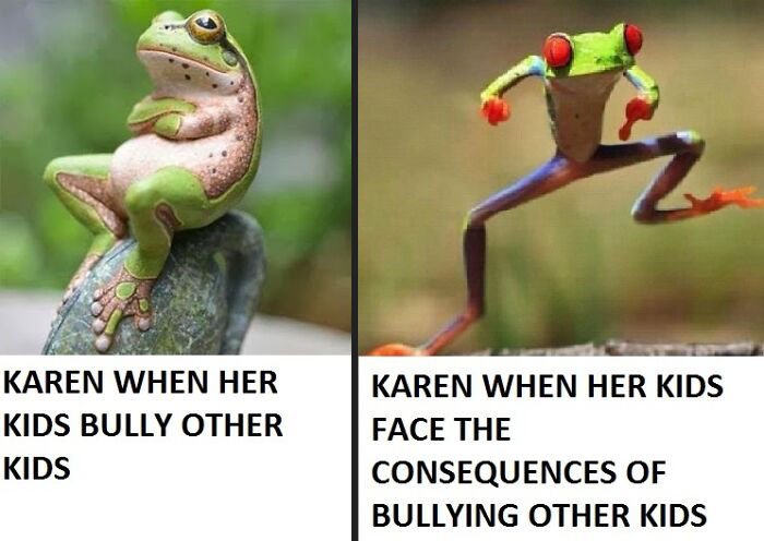 Comparison meme with frogs illustrating entitled parents reacting differently to their kids bullying others versus facing consequences.