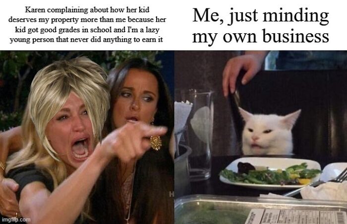 Woman yelling and pointing angrily contrasted with a cat sitting at a table, representing memes about entitled parents.