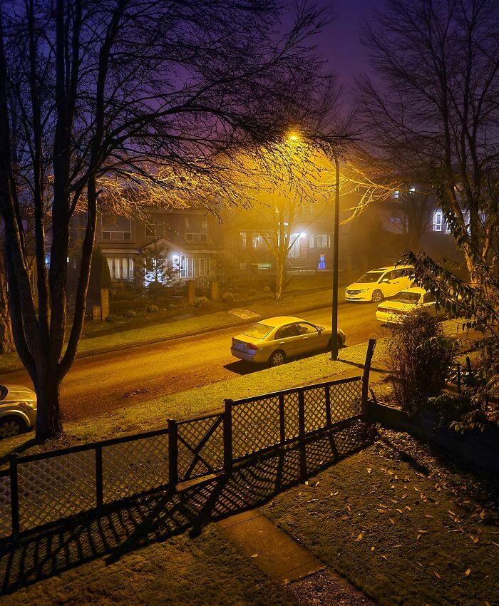 Quiet suburban street at night with parked cars and trees, evoking neighbor tales that might make you want to move to the woods.
