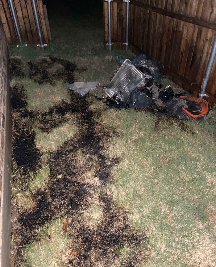 Burnt grass and debris scattered in a fenced backyard showing damage in a neighbor tales story about moving to the woods.