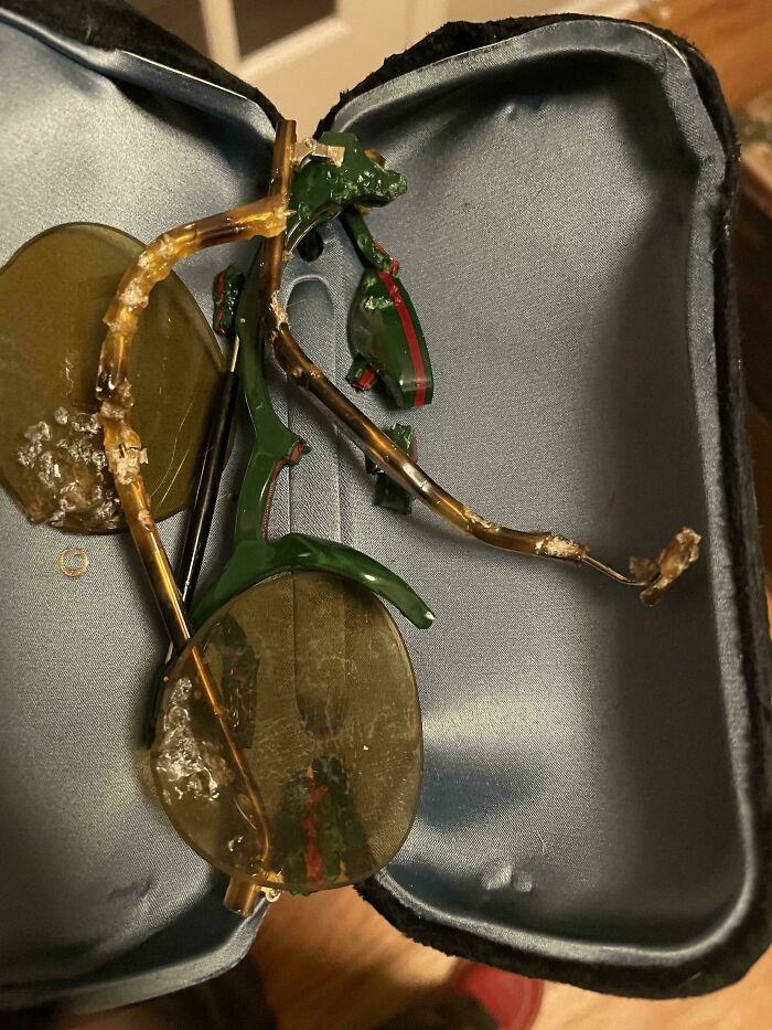 Chewed and broken glasses in an open case, showing damage caused by a chaotic pet being a menace.