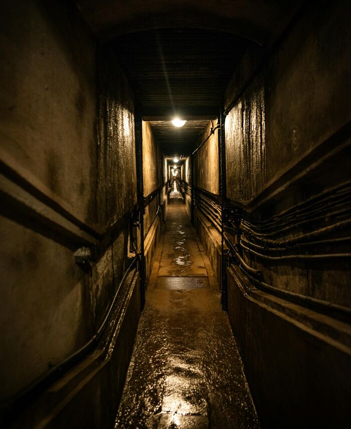 Dimly lit narrow corridor with wet floor and pipes along walls, evoking neighbor tales that might make you want to move to the woods.