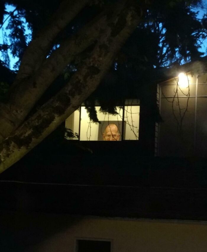 Man’s head seen through a window at night with trees in foreground, fitting neighbor tales in the woods theme.